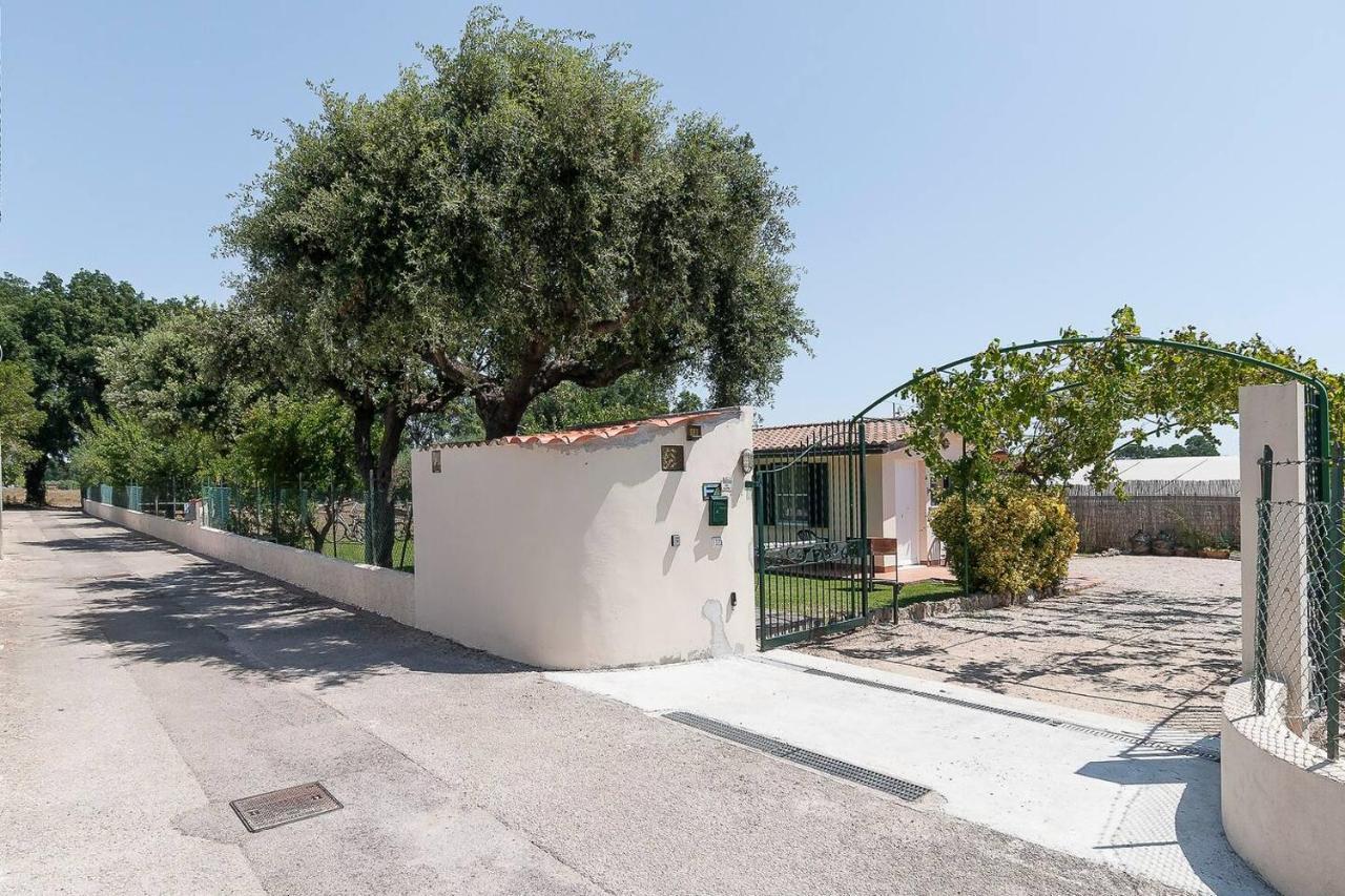 La Cesa Case Vacanza San Felice Circeo Exterior foto